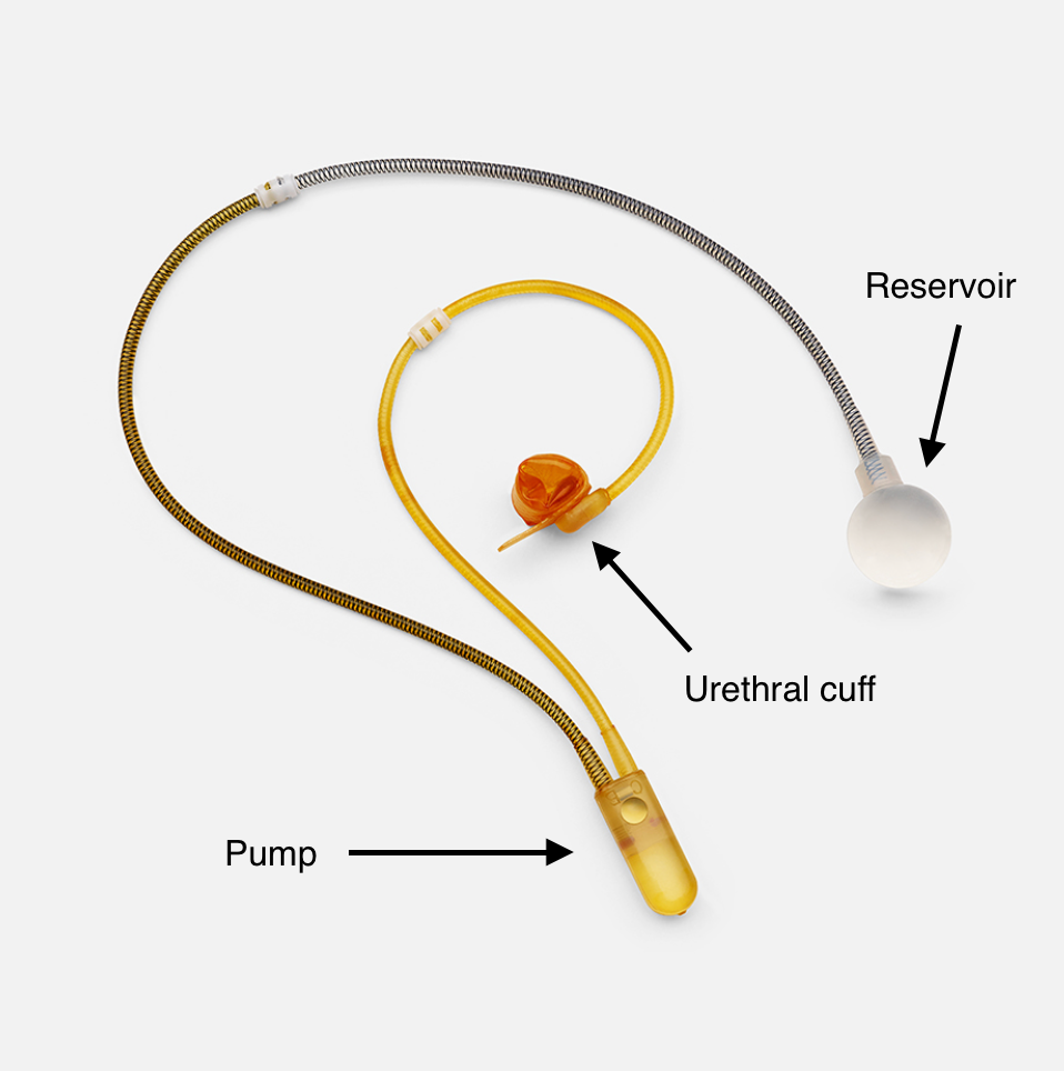 Artificial urinary sphincter anatomical device position